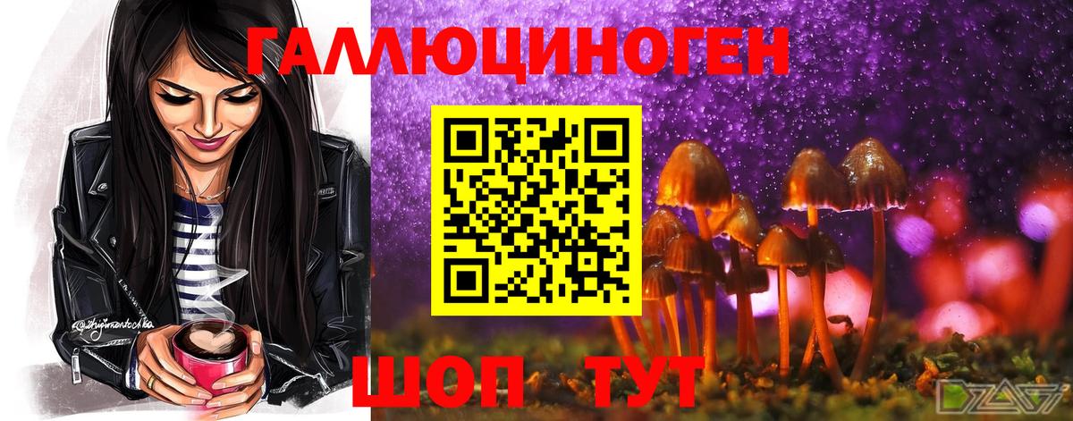 Галлюциногенные грибы Psilocybine cubensis Нефтеюганск